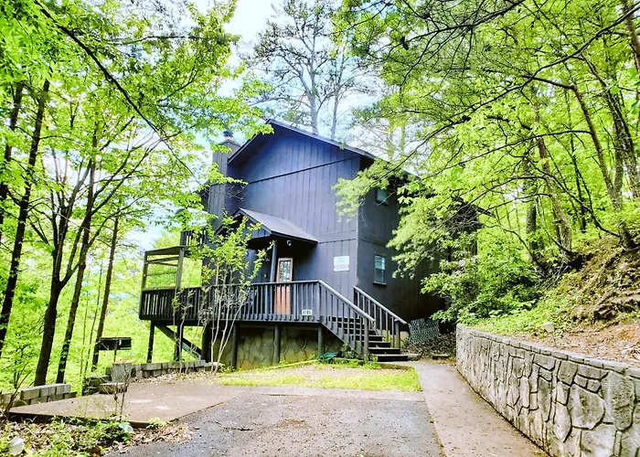 Free Tickets Disconnect & Relax Hot Tub -Mountain View-Dog Friendly Villa Pigeon Forge
